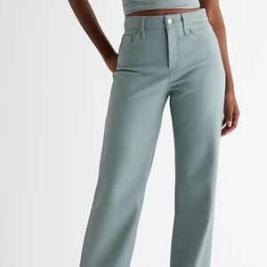 Express Faux Leather Pants